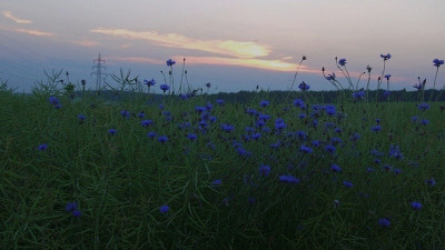 2.7 blaue stunde.jpg