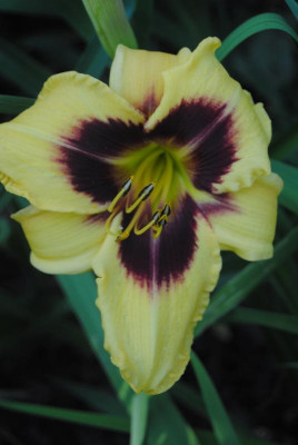 o3 o7 15 004.jpg
