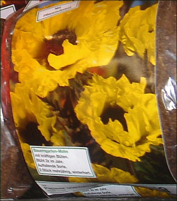 Papaver_orientale.jpg