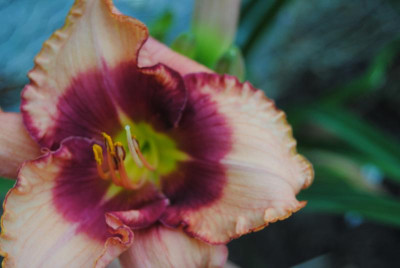 o3 o7 15 068.jpg