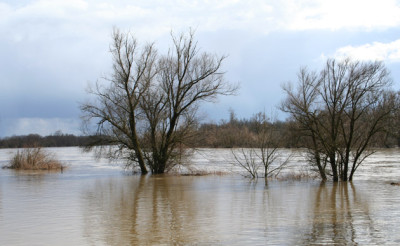 Land-unter-1.jpg