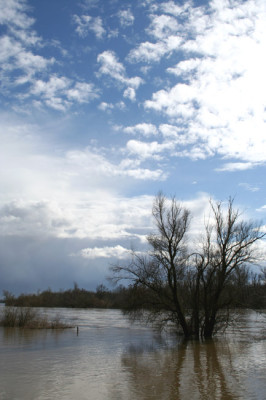 Land-unter-2.jpg