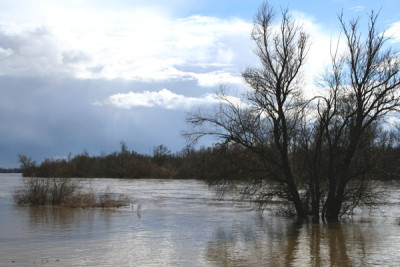 Land-unter-3.jpg
