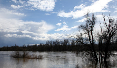 Land-unter-4.jpg