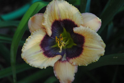 o3 o7 15 078.jpg