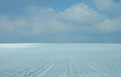 Lokal_Feld_1_12-03-2006.jpg