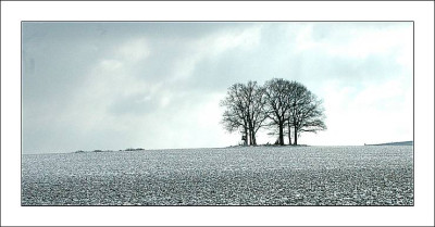 Lokal_Feld_2_12-03-2006.jpg