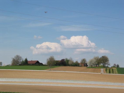 CLOUD_II.jpg