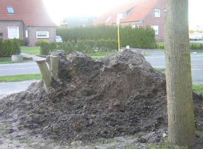 Die_Baustelle_0044.JPG