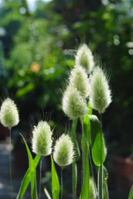 o3 o7 15 110.jpg