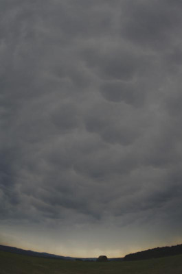 mammatus.jpg