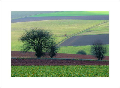 Feldansichten_1_02-04-2006.jpg