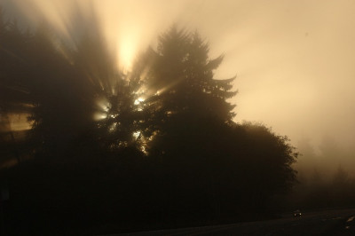 Nebel-Orick.jpg