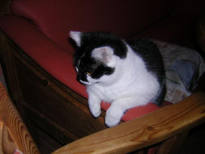 der_Garten_26._Marz_2006_003.jpg