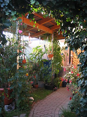 pergola.JPG3.JPG