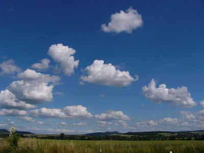 DERSommertag_in_2004.jpg