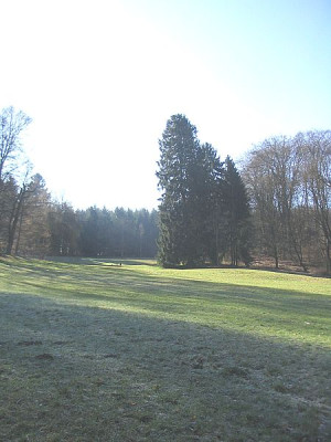 Blickachse_3.jpg