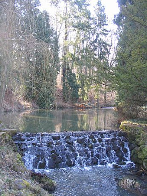 Bachlauf_im_Wald.jpg