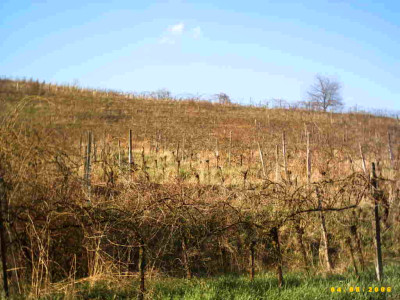 2006_0408Bild0011.JPG