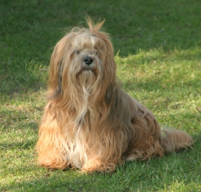 kallemann_3052.jpg