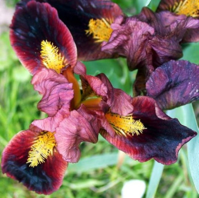 DSCN0083003.jpg