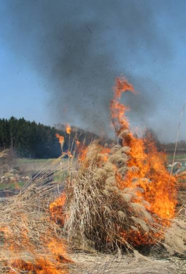 feueralarm.jpg