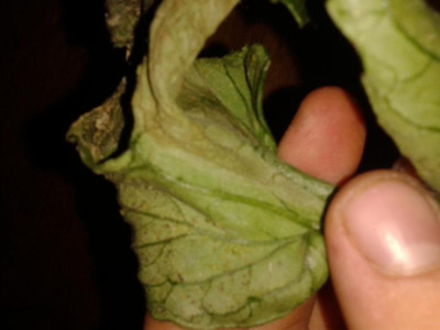20150705_115715.jpg