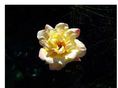 Sutters_Gold_035.jpg