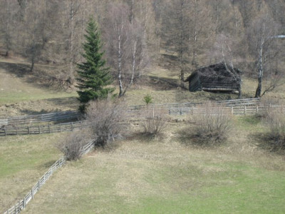 IMG0616stadel.jpg
