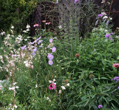 05072015 garten 2.png