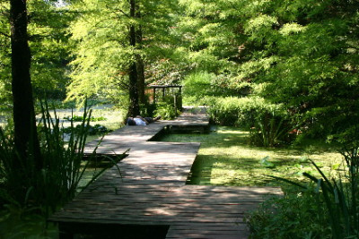 Boga-Sep-2005.jpg