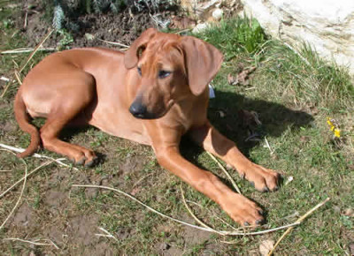 DSCN4053_endlich_Sonne.jpg