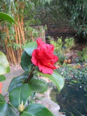 IMG_0046_Small.JPG