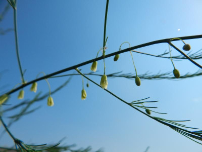 DSCN1471.JPG