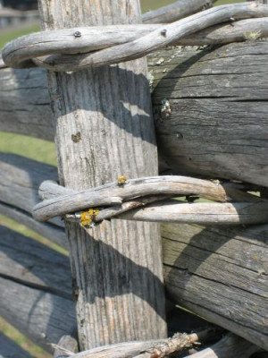 IMG_0614zaun3_befestigung.jpg