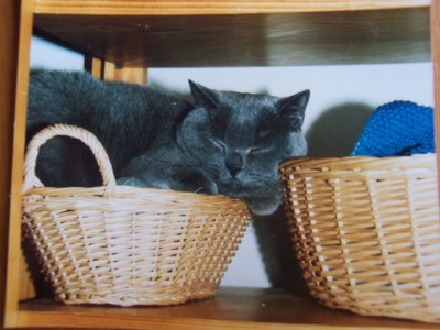 Sleeping_Beauty.jpg