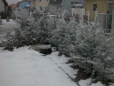 DSCN5155a.JPG