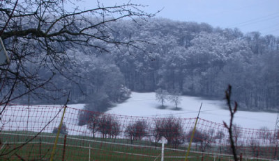 DSCN4372Heute_Wintergrusse.jpg