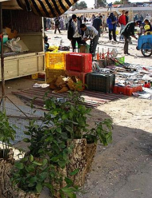 Tunis_Ruscuskauf.jpg