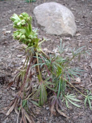 2006_022a.jpg