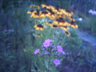 PHTO0283.JPG