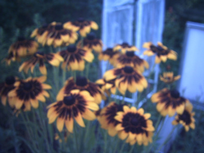 PHTO0272.JPG
