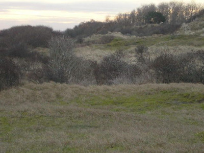 baltrum_20.jpg