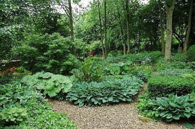 Huys_de_Dohm_Juni_200518.jpg