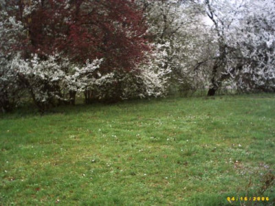 Gartenschaupark_an_Ostern.jpg