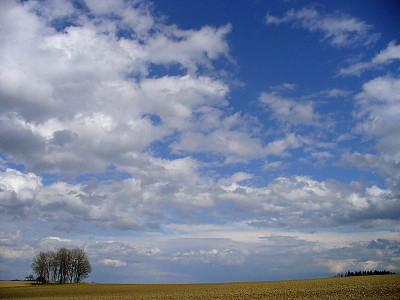 wolke_kati_1.jpg