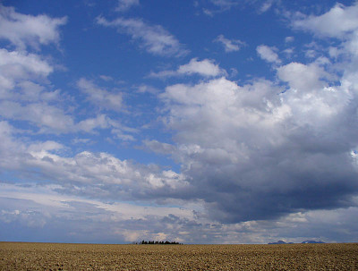 wolke_kati_2.jpg