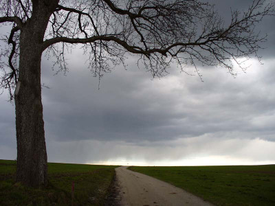 wolke_kati_3.jpg
