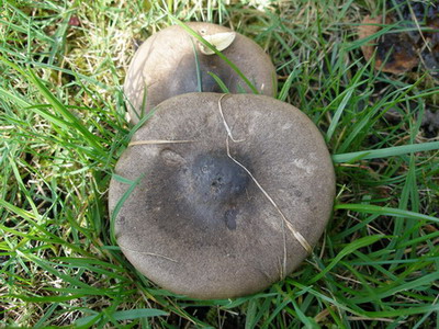 P4180001.JPG