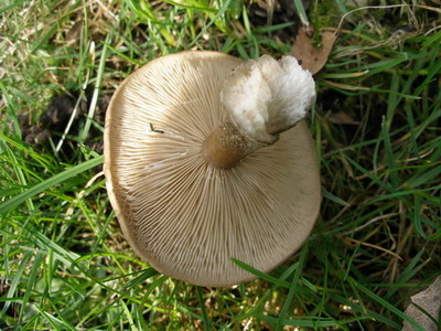P4180002.JPG